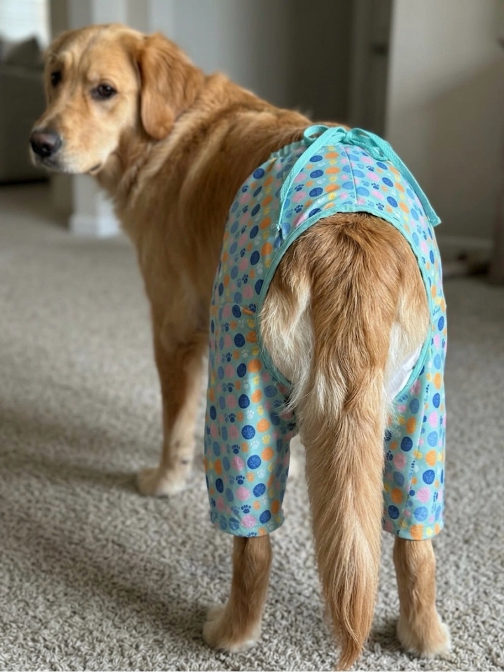 Top Paw Aqua Paw & Shell Print Hooded Dog Pants - Open behind (: